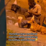 Homeless Man Celebrates Birthday With Loyal Dogs