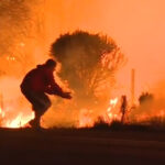 Man Risks Life To Save Rabbit