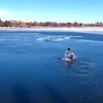 Man Saves Dog From Certain Death In Frozen Lake