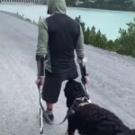 Dog Provides Emotional Support To One Legged Owner